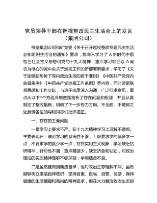 在巡视整改民主生活会上对照检查发言（公司2800字）