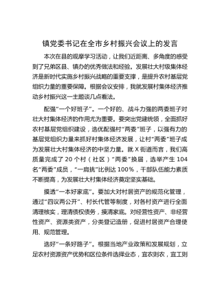 乡镇书记在全市乡村振兴会议上的发言