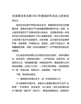 在县委办党支部2022年度组织生活会上的讲话4100字
