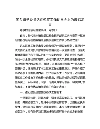 乡镇书记在巡察工作动员会上的表态发言