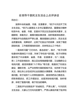 在民主生活会上点评讲话2000字