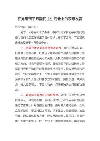 在党组班子专题民主生活会上的表态发言 (2)