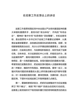 在巡察工作反馈会上的讲话2800字