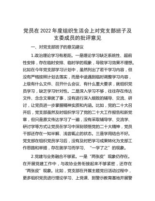在2022年度组织生活会上对党支部班子及支委成员的批评意见3900字