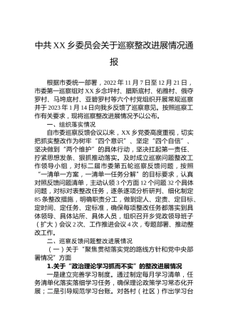 乡委员会关于巡察整改进展情况通报(20230411)