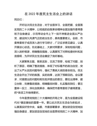 在2022年度民主生活会上的讲话1200字