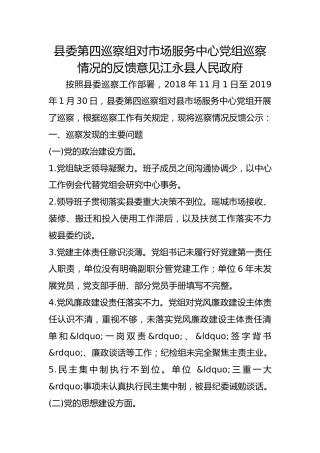 巡察组对市场服务中心巡察情况的反馈意见