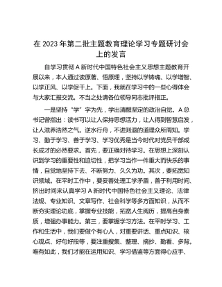在2023年第二批主题教育理论学习专题研讨会上的发言1500字
