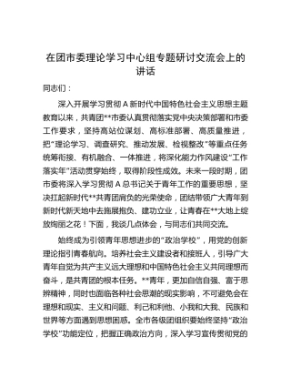 在团市委中心组主题教育专题研讨交流会上的讲话