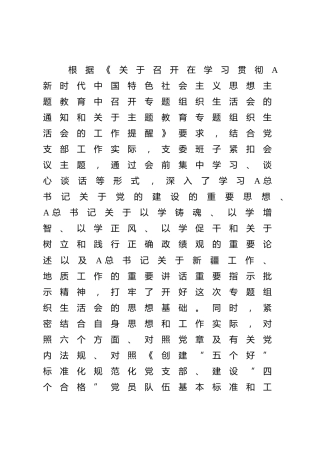 主题教育及“五学五查五改”专题组织生活会班子对照检查4800字