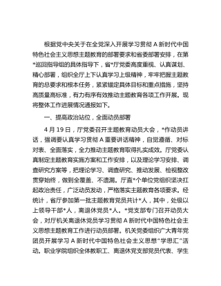 主题教育工作进展情况总结报告