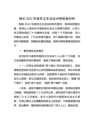 乡镇镇长2022年度民主生活会对照检查8000字（含上年度整改）