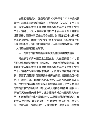 乡镇书记2022年度民主生活会个人对照检查4200字