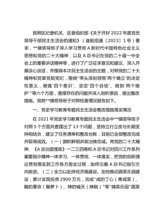 乡镇领导班子2022年度民主生活会对照检查5700字
