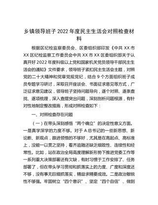 乡镇领导班子2022年度民主生活会对照检查（9个方面）