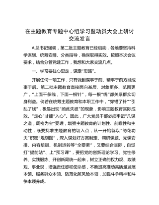 在主题教育专题中心组学习暨动员大会上研讨交流发言1300字