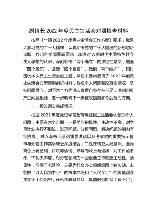 乡镇副镇长2022年度民主生活会对照检查7600字（含上年度整改）