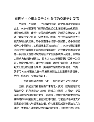 中心组关于文化自信的交流研讨发言