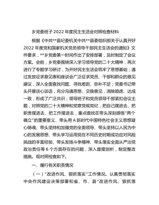 乡镇班子2022年度民主生活会对照检查5900字