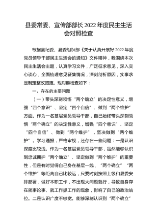 县委常委、宣传部部长2022年度民主生活会对照检查5100字