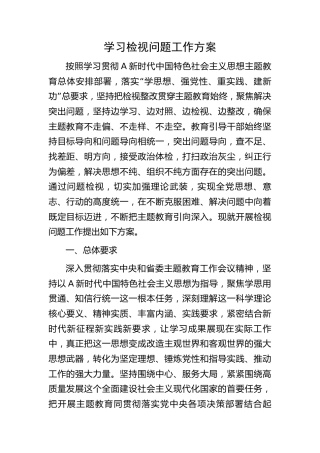 主题教育学习检视问题工作方案