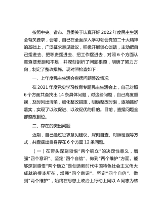 县区领导2022年度民主生活会个人对照检查5900字