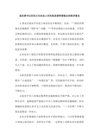县纪委书记在民主生活会上对其他县委常委提出的批评意见