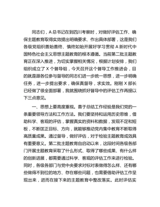 在主题教育督导工作推进会上的讲话2000字