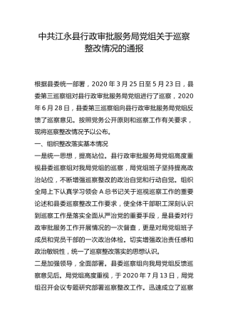 县行政审批服务局党组关于巡察整改情况的通报