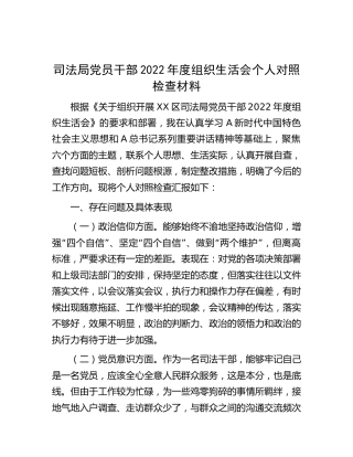 司法系统2022年度组织生活会个人对照检查2600字