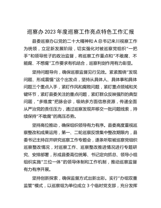 巡察办2023年度巡察工作亮点特色工作汇报