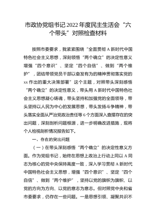 市政协书记2022年度民主生活会对照检查