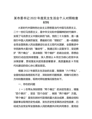 市委书记2022年度民主生活会个人对照检查材料