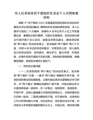 市人社系统组织生活会个人对照检查4300字（含国之大者版本）