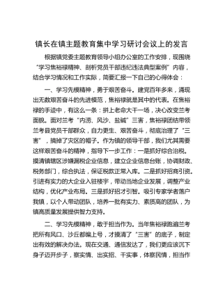 乡镇主题教育研讨发言“学习焦裕禄精神、剖析违纪违法典型案例”