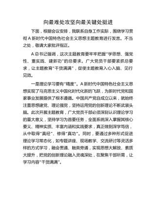 主题教育发言材料：向最难处攻坚    向最关键处挺进1400字