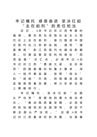 主题教育“牢记嘱托 感恩奋进 走在前列”研讨发言（1700字结合纪检监察）