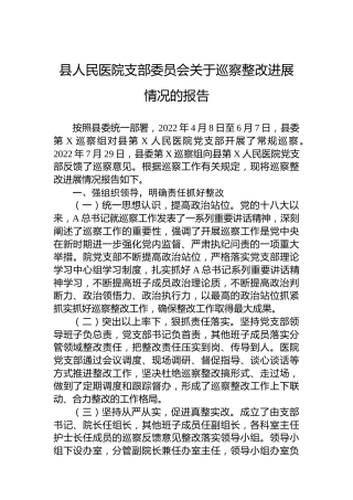 医院支部委员会关于巡察整改进展情况的报告