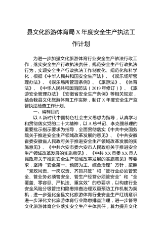县文化旅游体育局安全生产执法工作计划