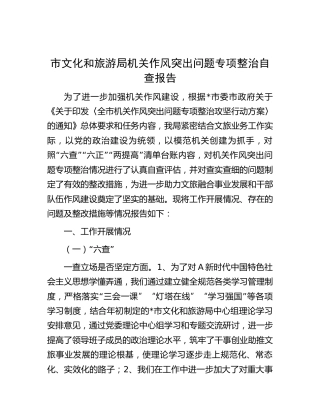 作风突出问题专项整治自查总结报告（文旅9200字）