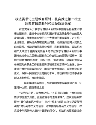 政法委书记主题教育研讨发言2400字
