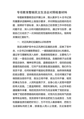正风肃纪反腐专项教育整顿民主生活会个人对照检查2900字