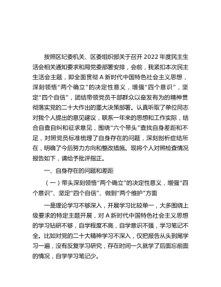区领导2022年度民主生活会个人对照检查4500字