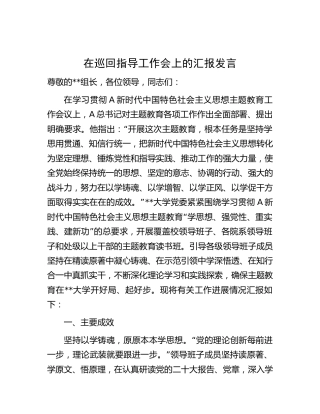 在主题教育巡回指导工作会上的汇报发言（学校主题教育总结3100字）