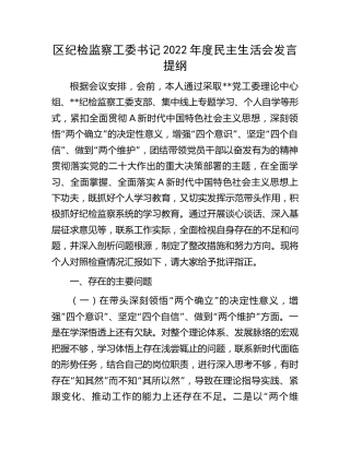 区纪检监察工委书记2022年度民主生活会个人对照检查4600字
