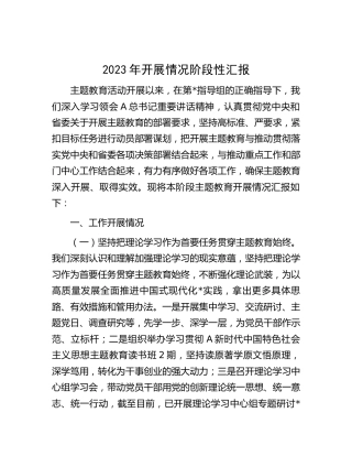 主题教育开展情况阶段性总结汇报