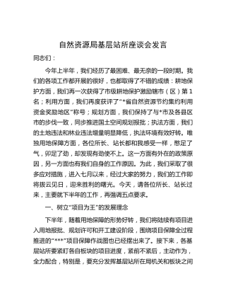 自然资源局基层站所座谈会发言（2300字讲话）