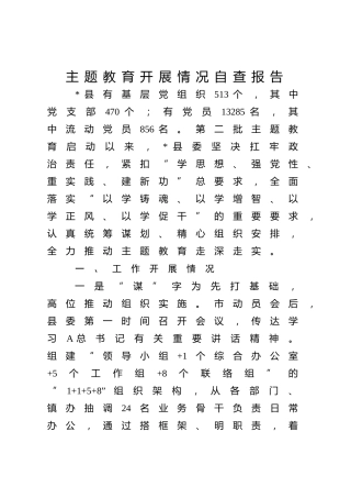 主题教育开展情况自查报告（3000字总结）