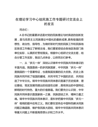 在中心组民族工作专题研讨交流会上的发言