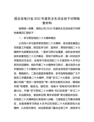国企公司发电行业2022年度民主生活会班子对照检查5000字（含上年度整改）